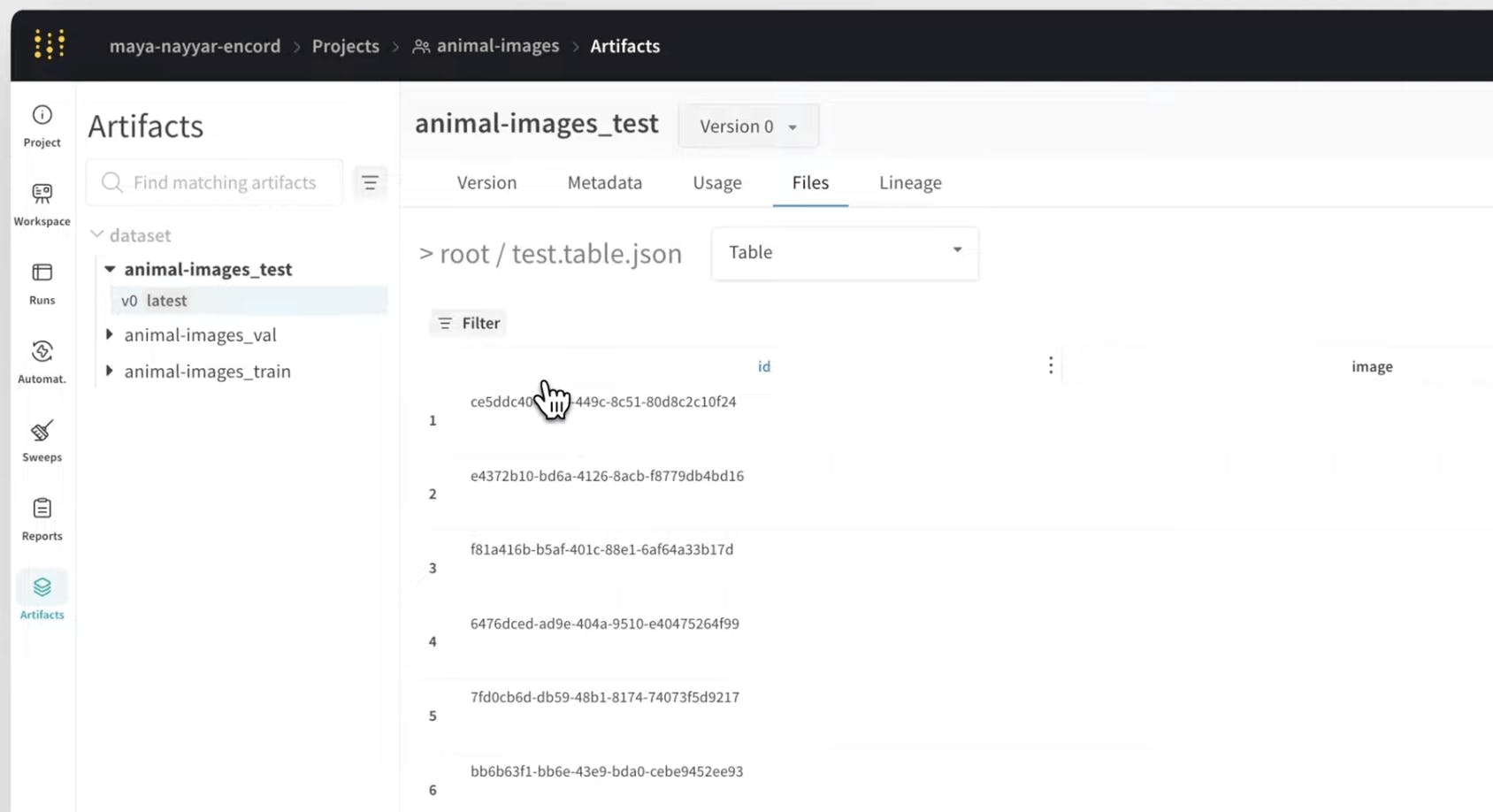 access auto synced ground truth labels on Weights and Biases