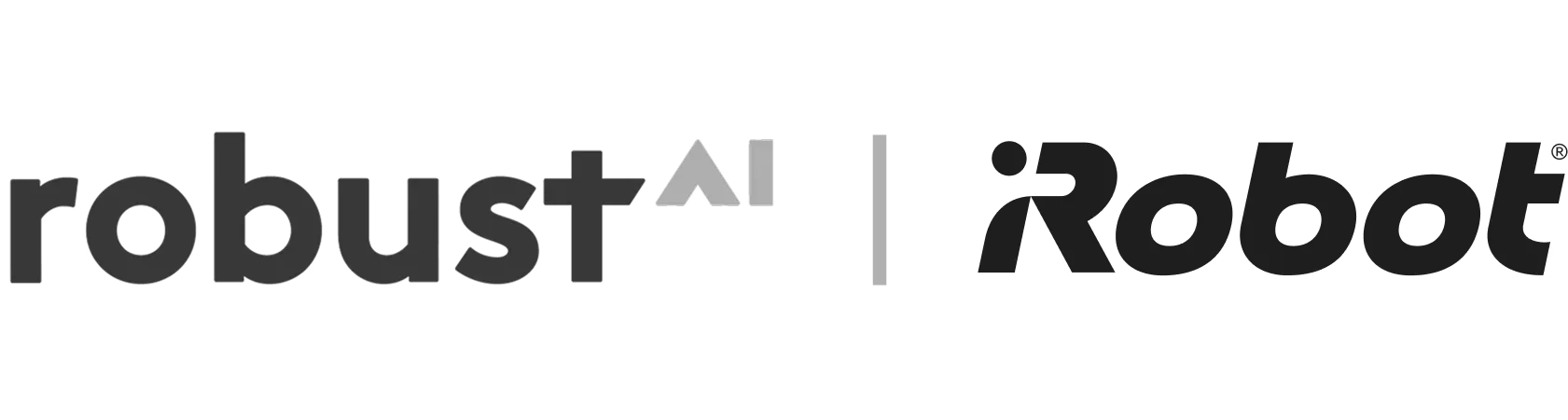 robust ai & iRobot