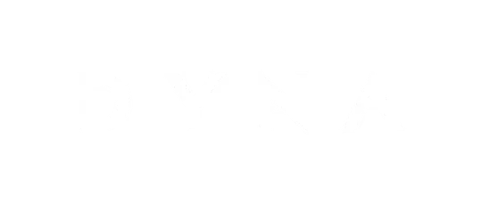 Dyna logo