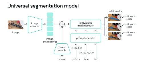 Image displaying the architecture of the Segment Anything (SA) universal segmentation model