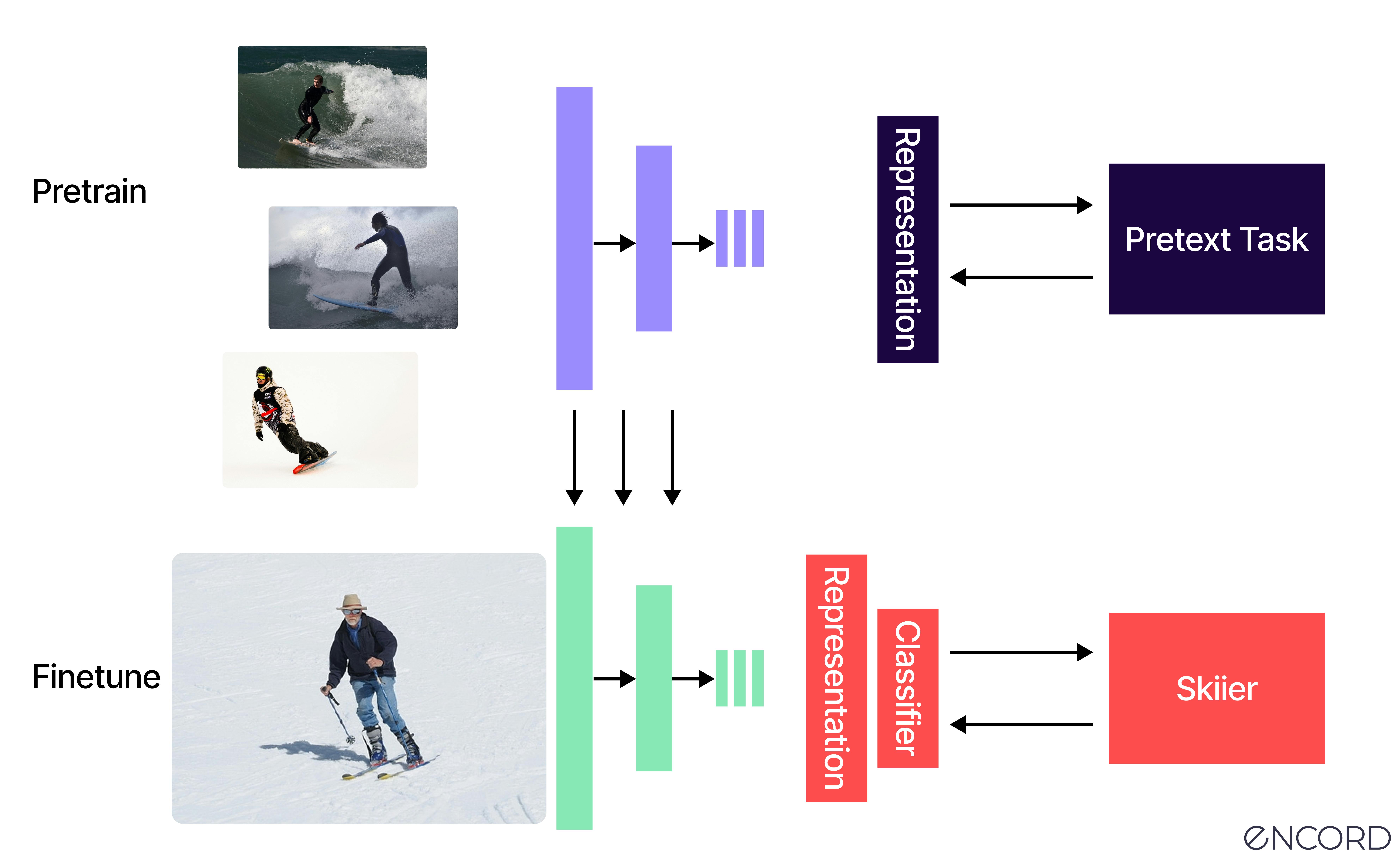 Self-supervised learning (SSL) workflow