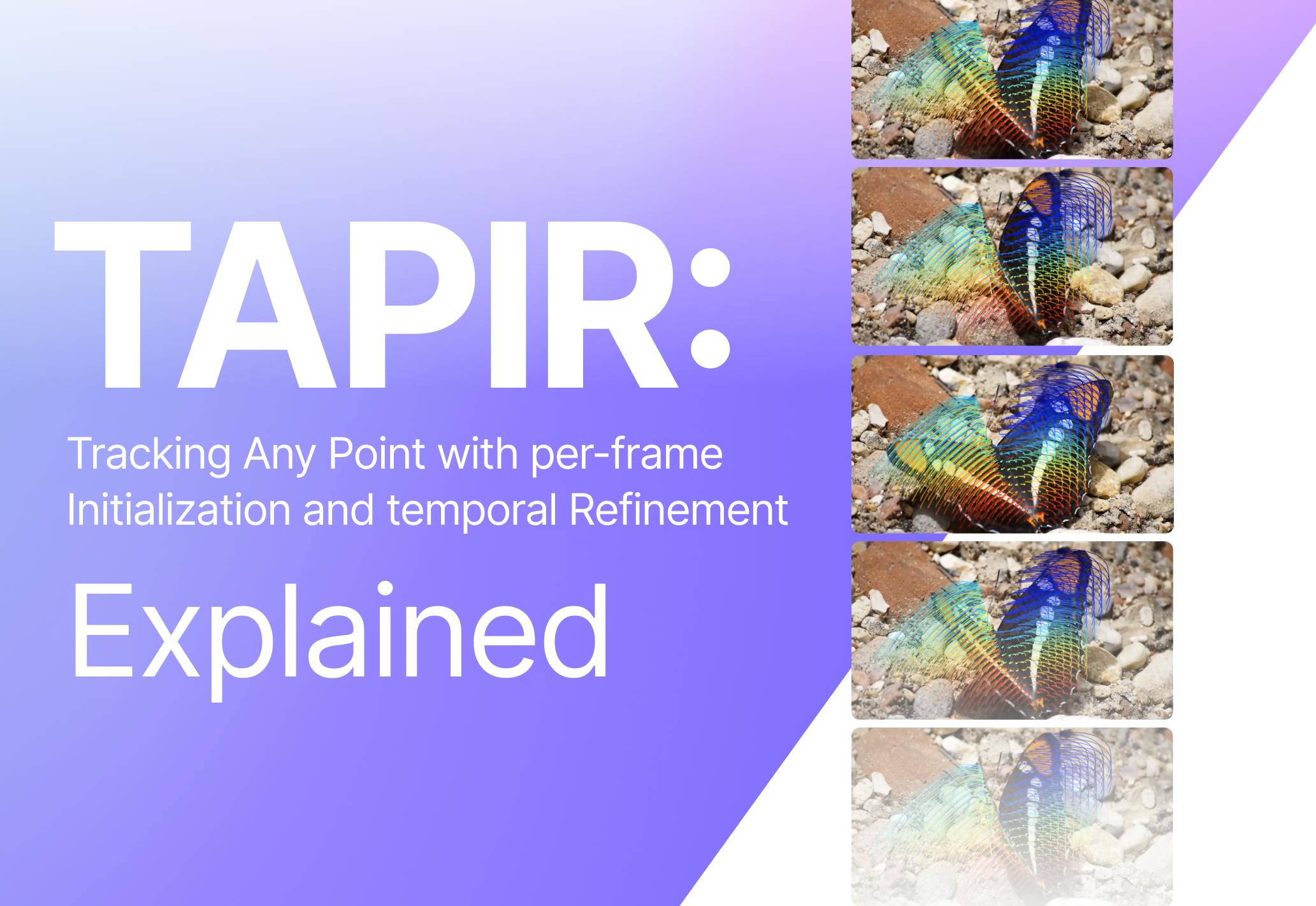 sampleImage_tapir-explained