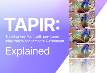 sampleImage_tapir-explained