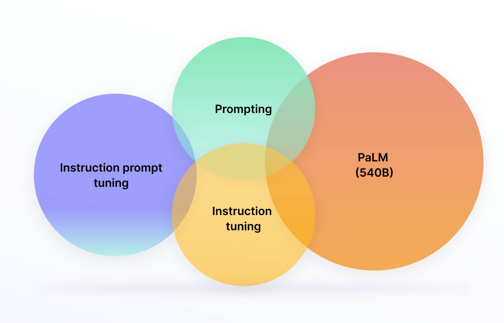 sampleImage_med-palm-explained