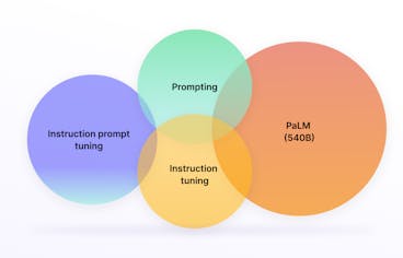 sampleImage_med-palm-explained