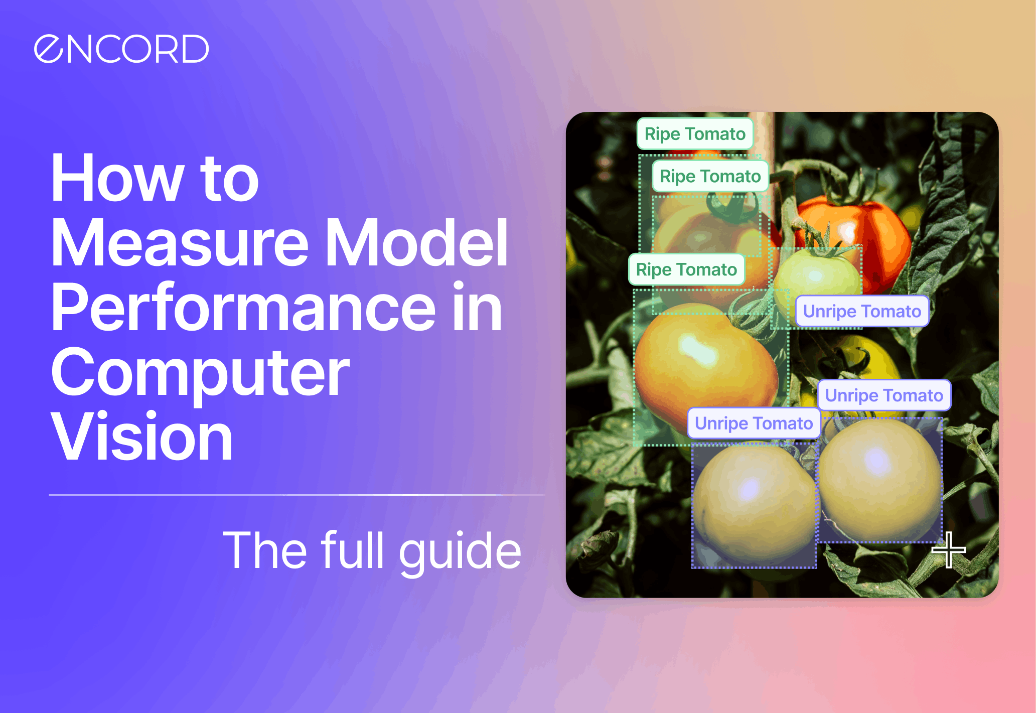 sampleImage_measure-model-performance-computer-vision