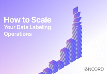 sampleImage_scale-data-labeling-operations