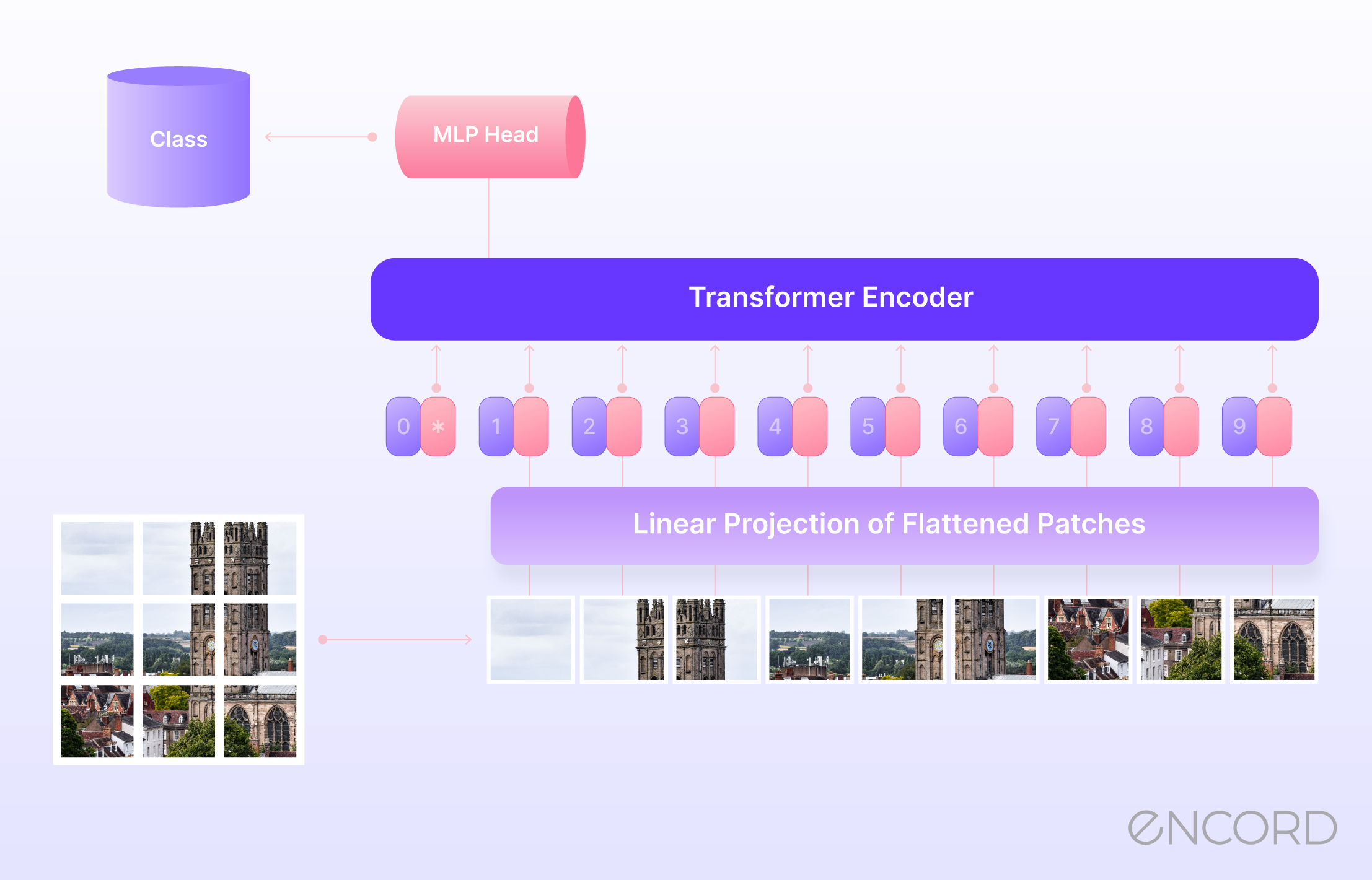 Introductory Guide To Vision Transformers | Encord