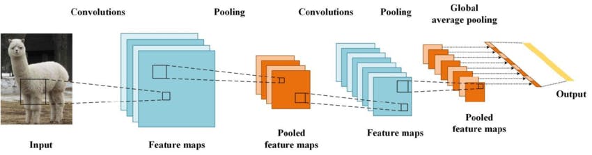 The basic structure of Convolutional Neural Networks