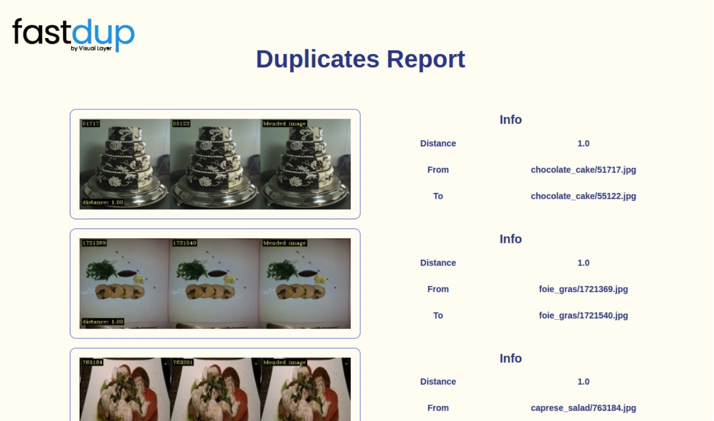 Fastdup active learning tool - duplicates report to identify duplicate data