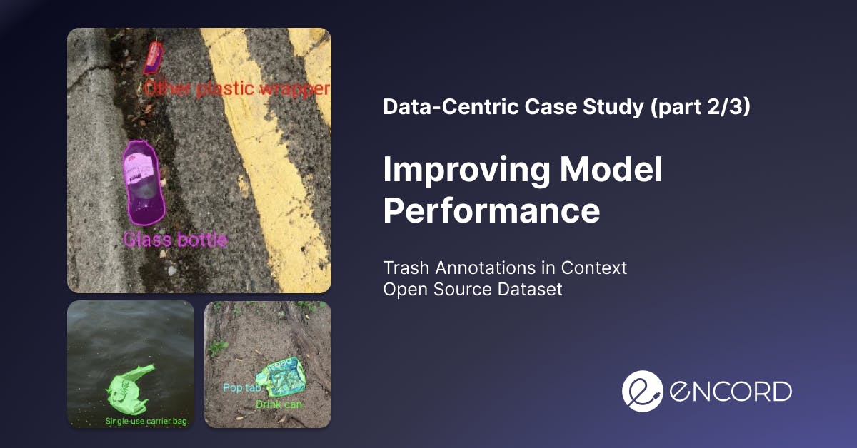 sampleImage_data-centric-case-study-improving-model-performance