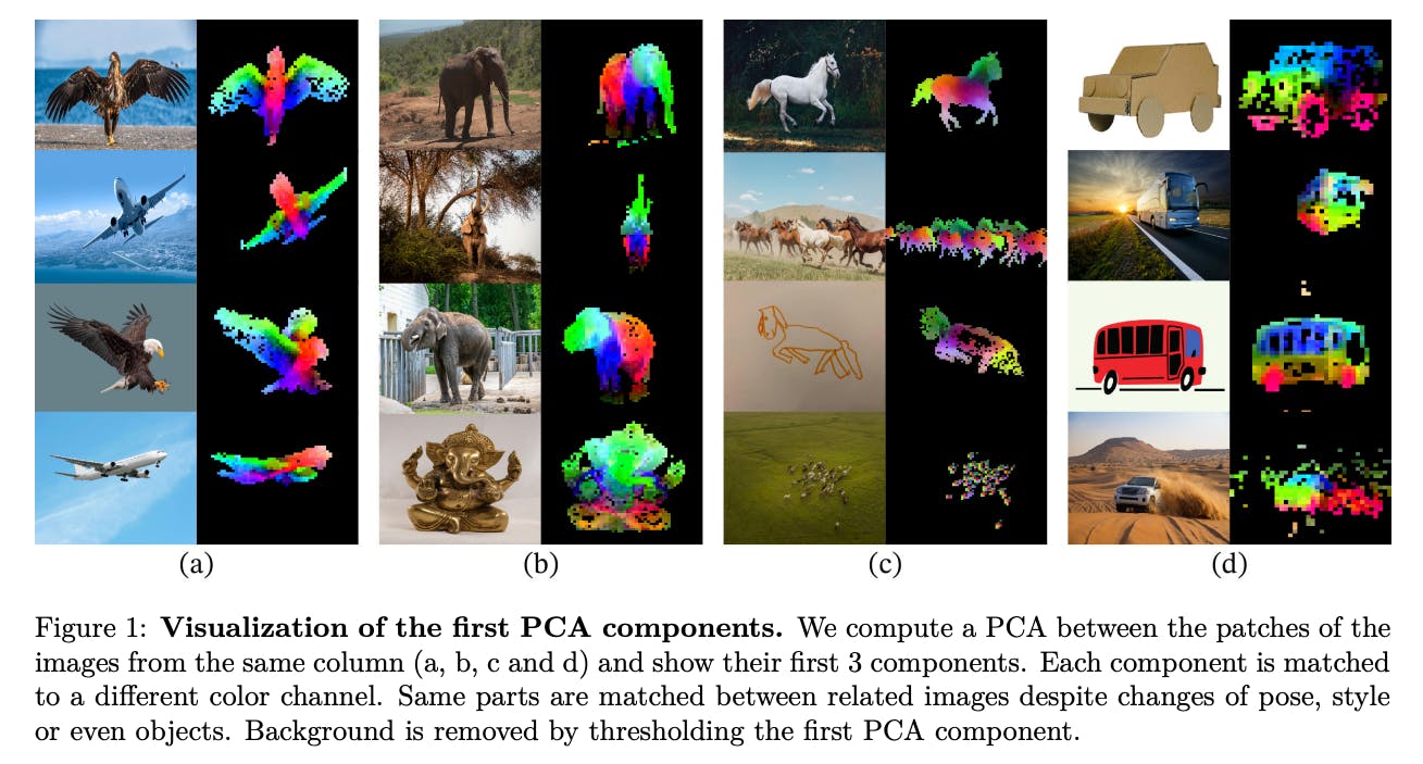 DINOv2 self-supervised learning