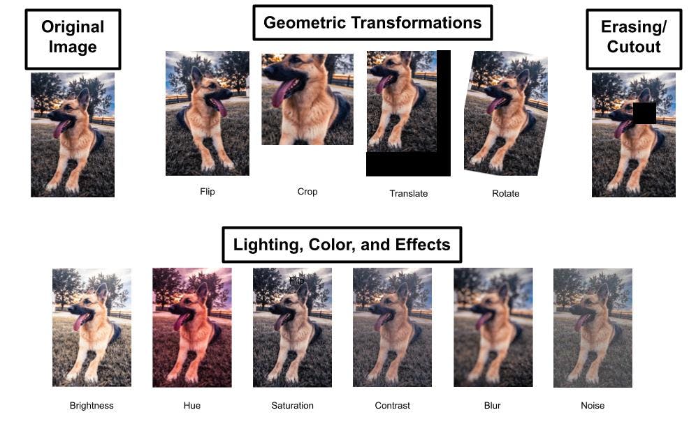 Common image transformations used for data augmentation.