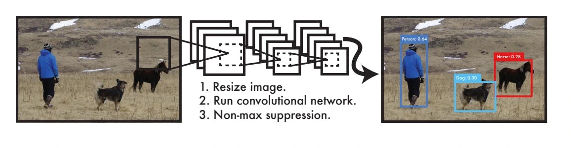 The YOLO Detection System