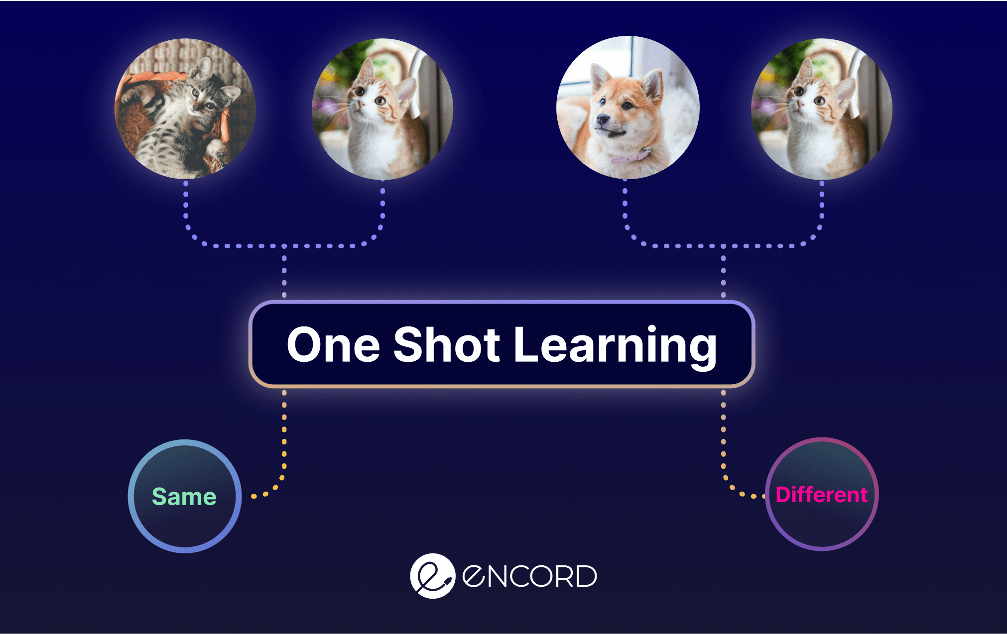 One-Shot Learning in AI - Definition and Examples | Encord