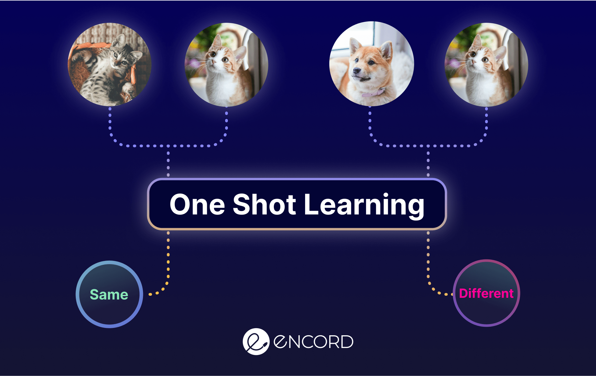 One-Shot Learning in AI
