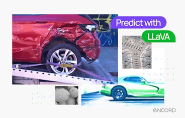 sampleImage_automate-labeling-with-llava-integration