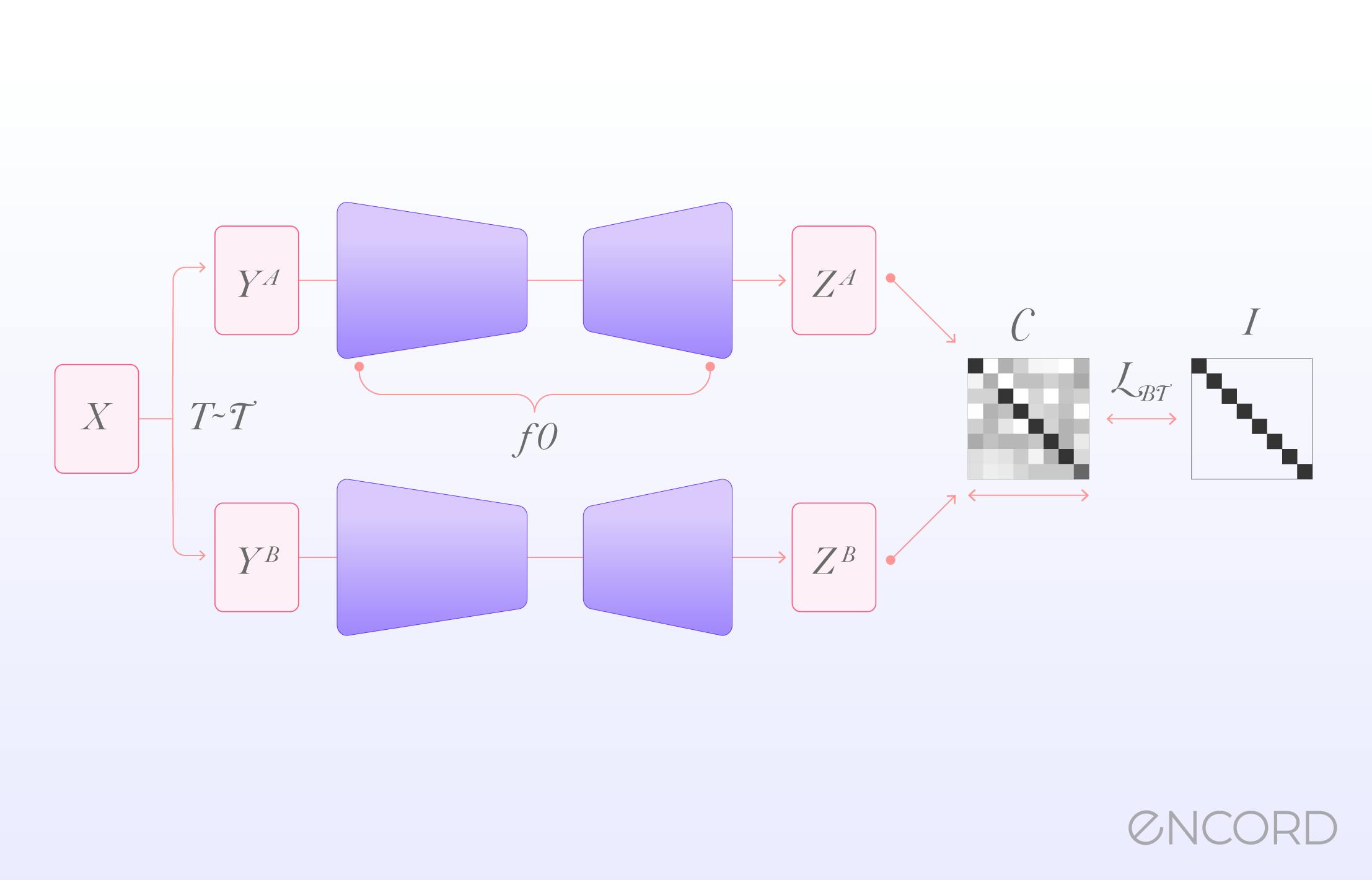 sampleImage_barlow-twins-self-supervised-learning