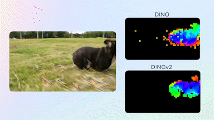 DINOv2 self-supervised learning: Comparing DINO with DINOv2