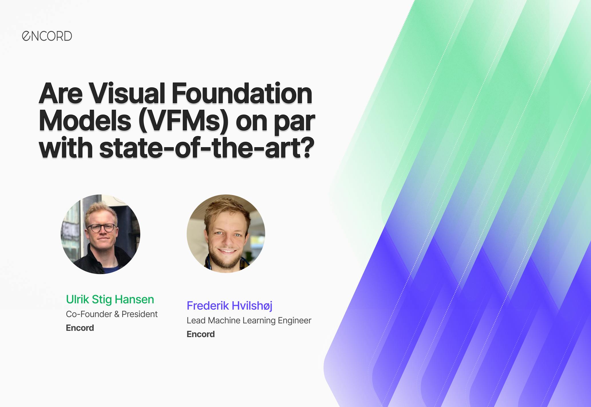 sampleImage_visual-foundation-models-vfms-webinar