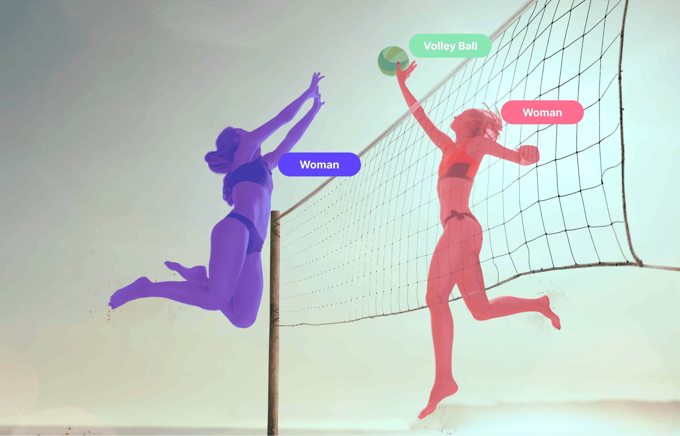 sampleImage_instance-segmentation-guide-computer-vision