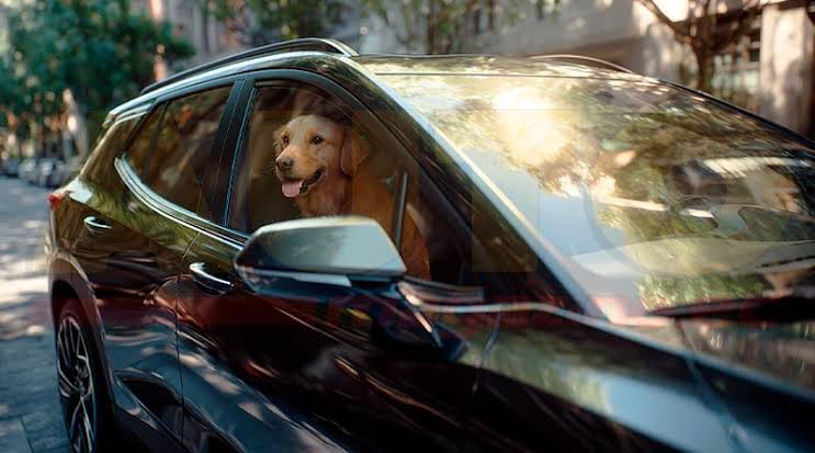 General Motors incorpora nuevas funciones de asistencia para quienes viajan con mascotas