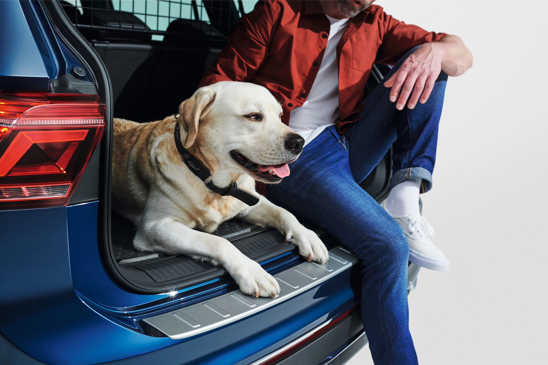 Viajar con mascotas: más sencillo de lo crees