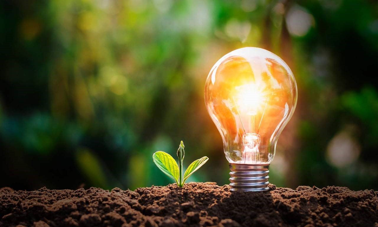 Automores y Anexos implementa medidas para optimizar el consumo energético