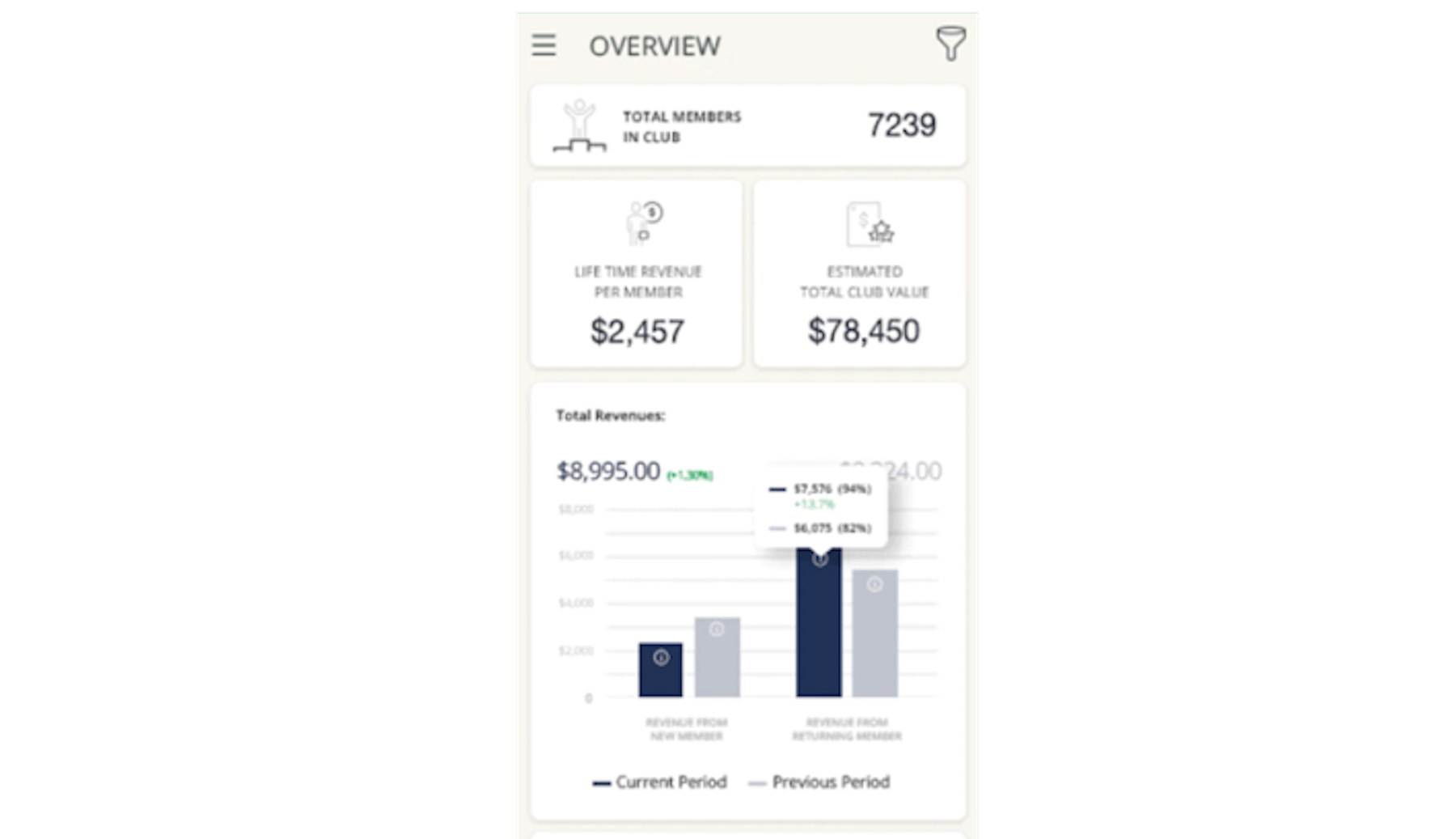 revenue overview
