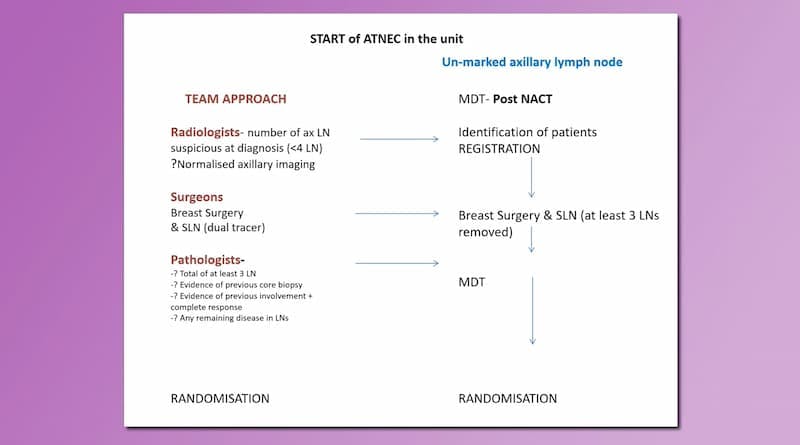 ATNEC presentation slide