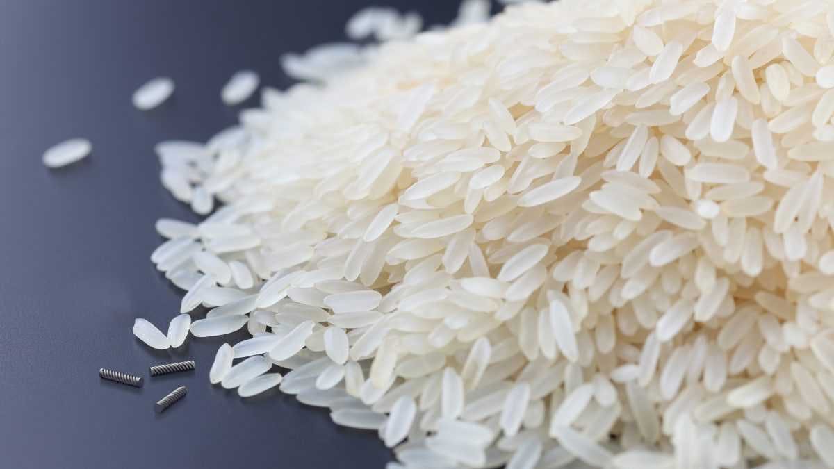Magseed vs grain of rice 