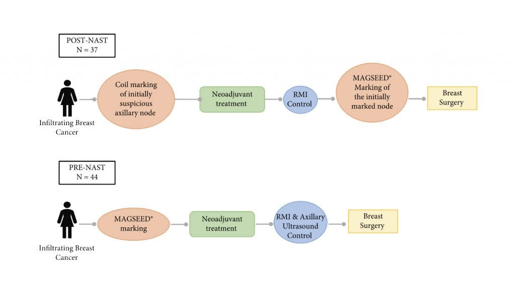 Infographic taken from MAGNET study