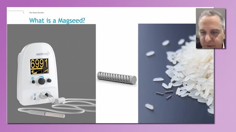 'What is a Magseed' slide