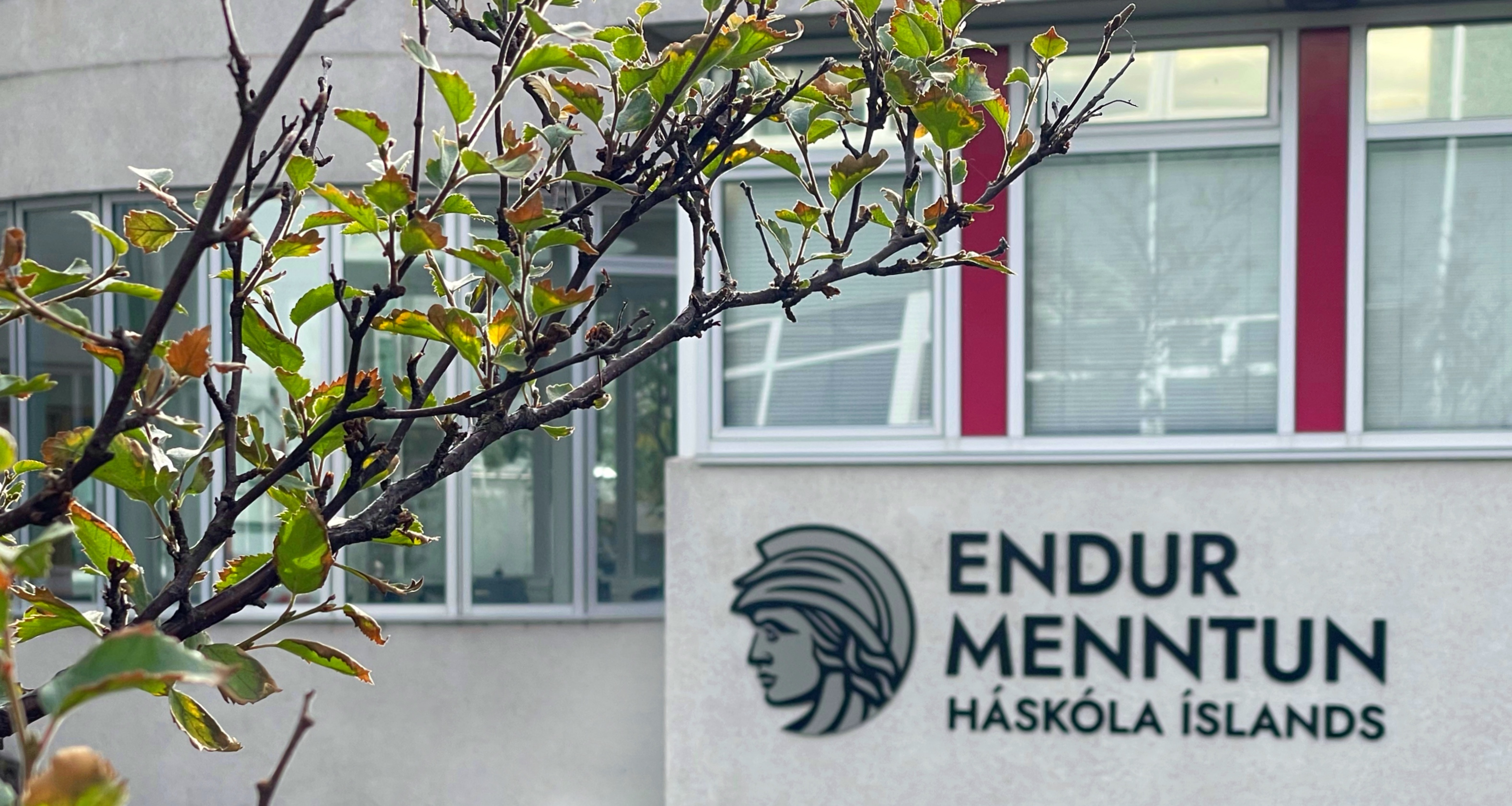 Húsnæði Endurmenntunar Háskóla Íslands við Dunhaga 7