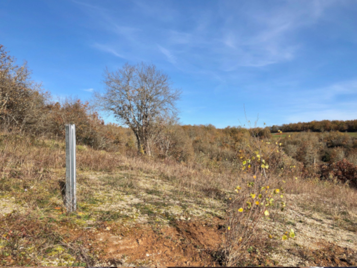 Premier pieu posé sur le site de Lachapelle-Auzac