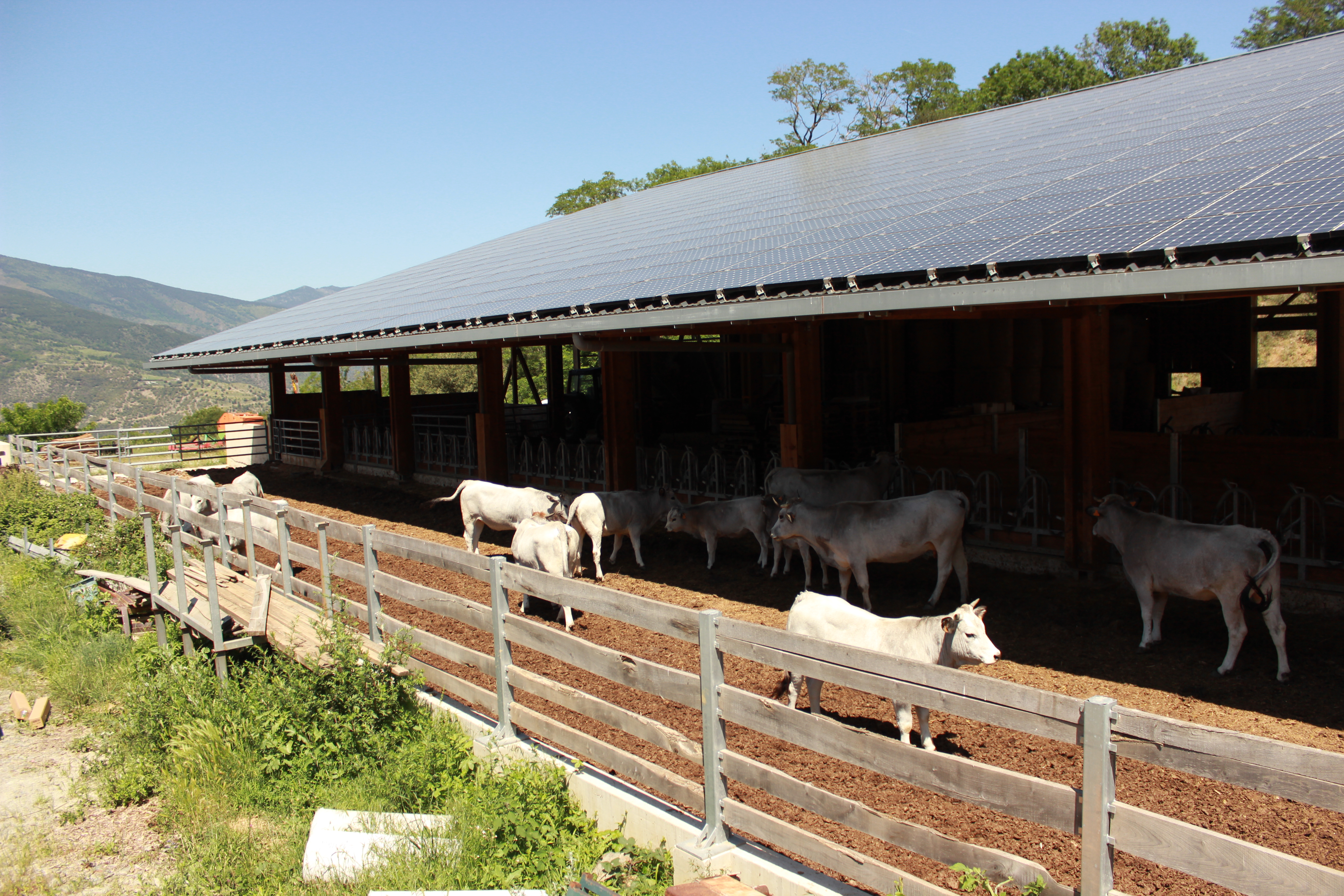 ferme d'escoums nyer
