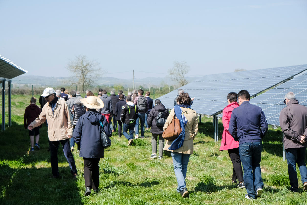 Personnes marchant dans le parc solaire d'Espalmade à Cintegabelle - Enercoop Midi-Pyrénées