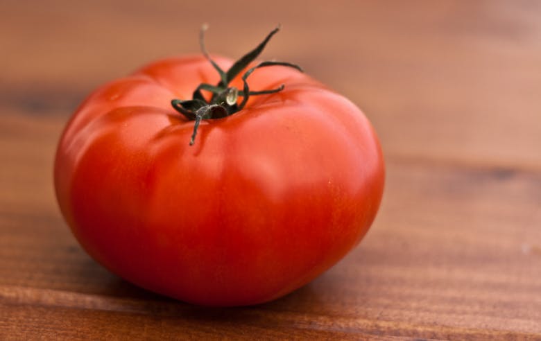 Watts et tomates - Enercoop Nouvelle-Aquitaine - électricité verte