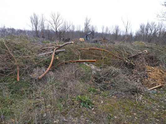 Début des travaux sur le site de Meauzac