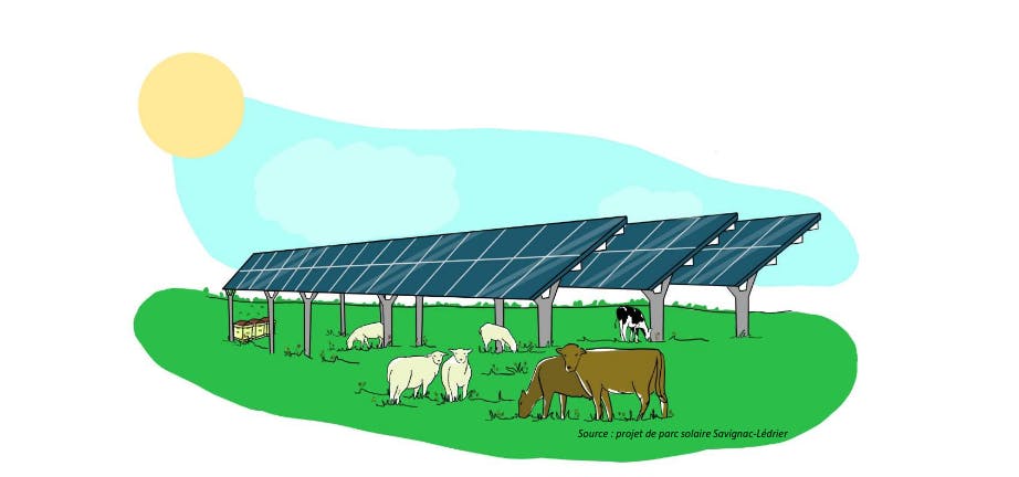 agrivoltaisme illustration photovoltaique agriculture parc solaire
