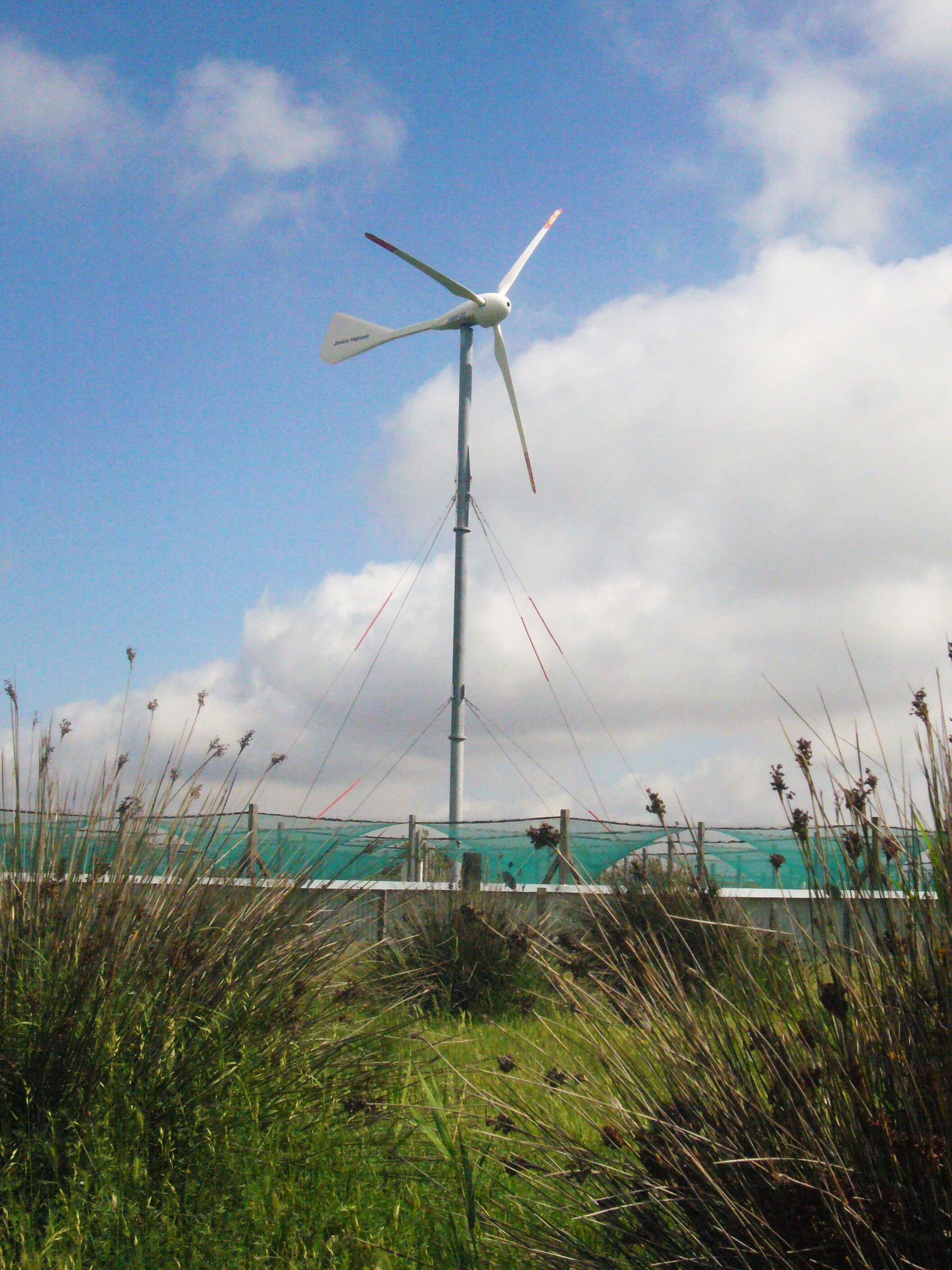 Enercoop Paca - Producteurs - Marais du Vigueirat Camargue 13