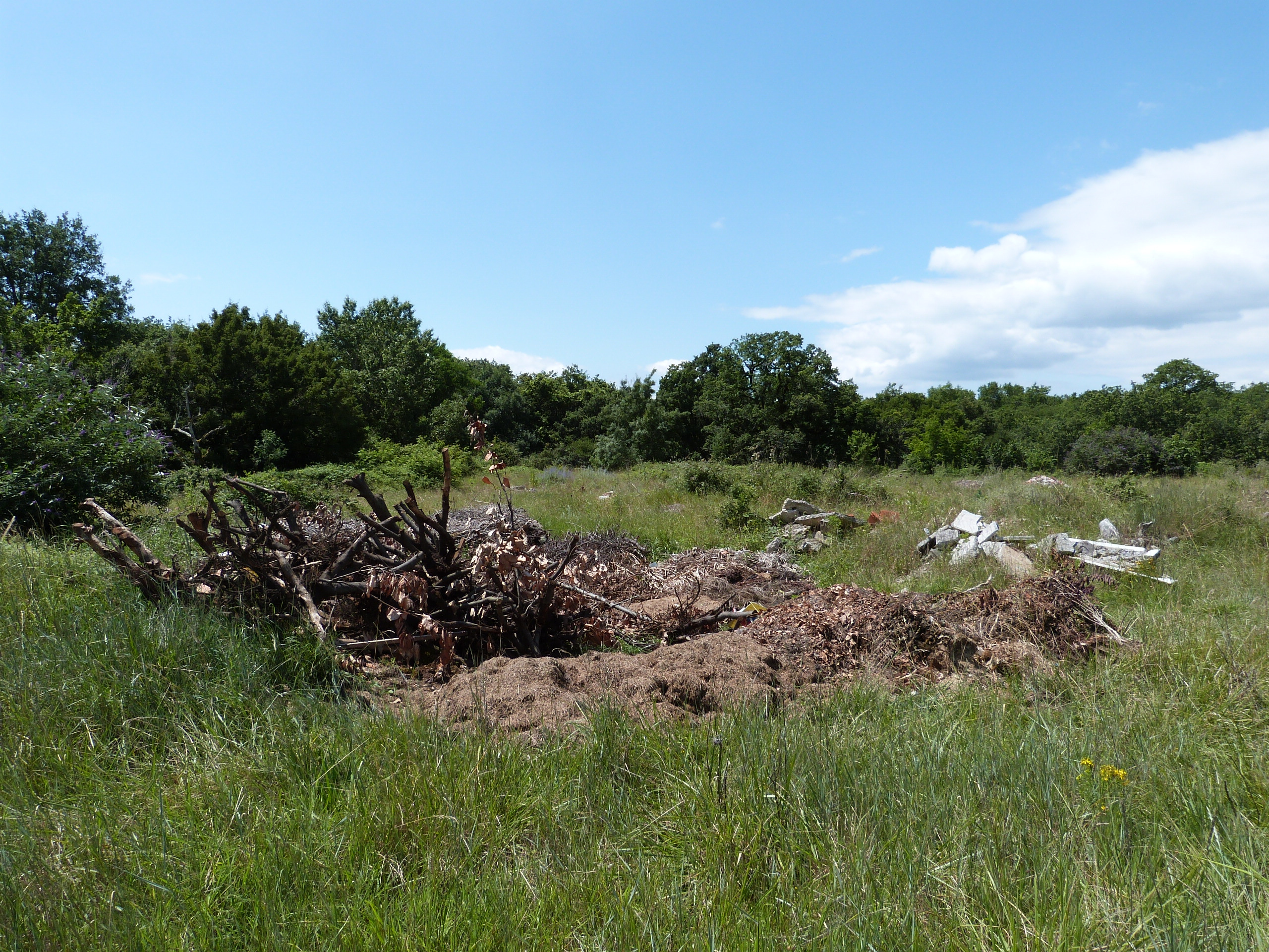 terrain qui accueillera le parc solaire
