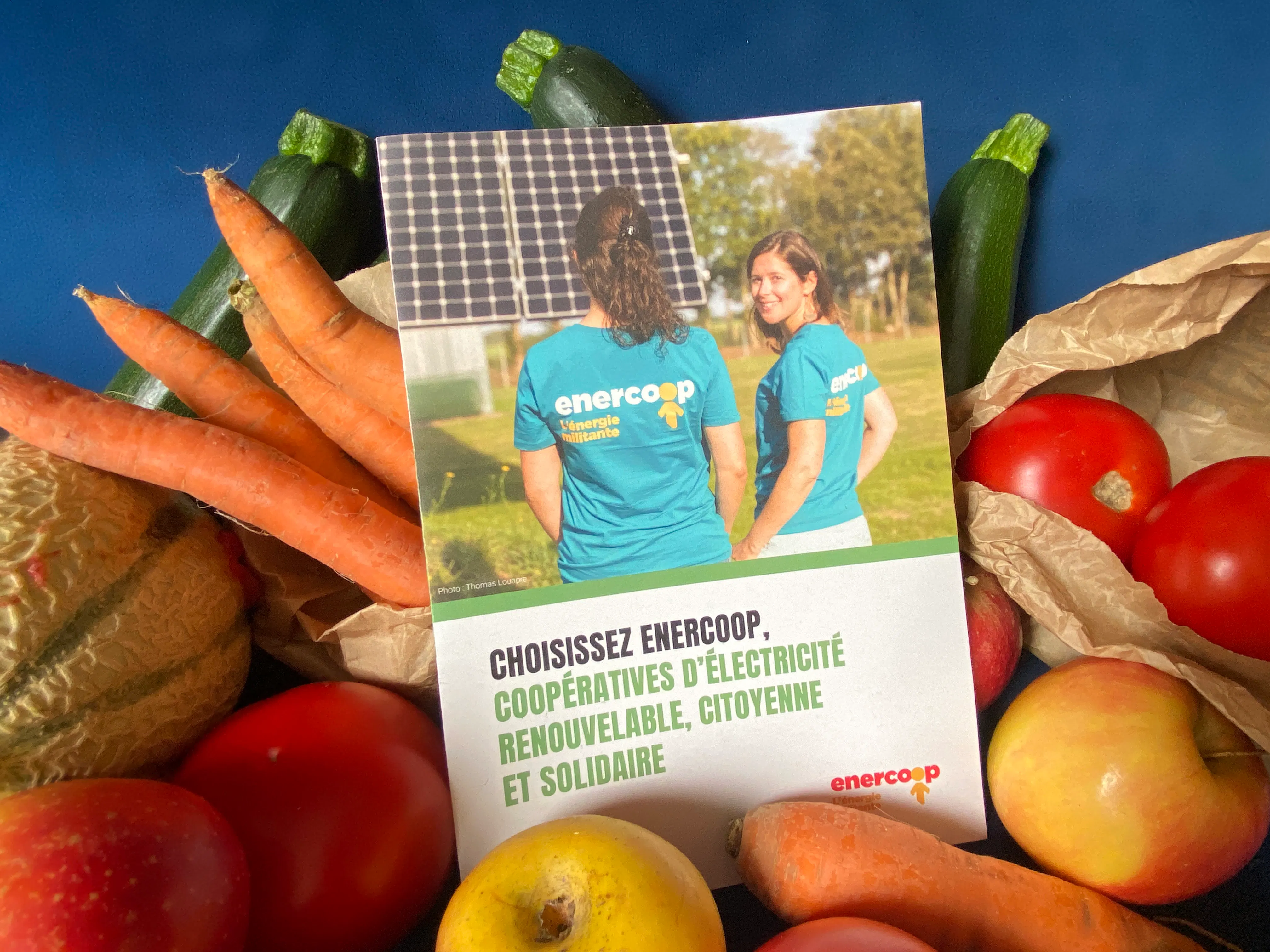 Un partenariat avec les AMAPs de Normandie Enercoop dans votre panier de légumes !
