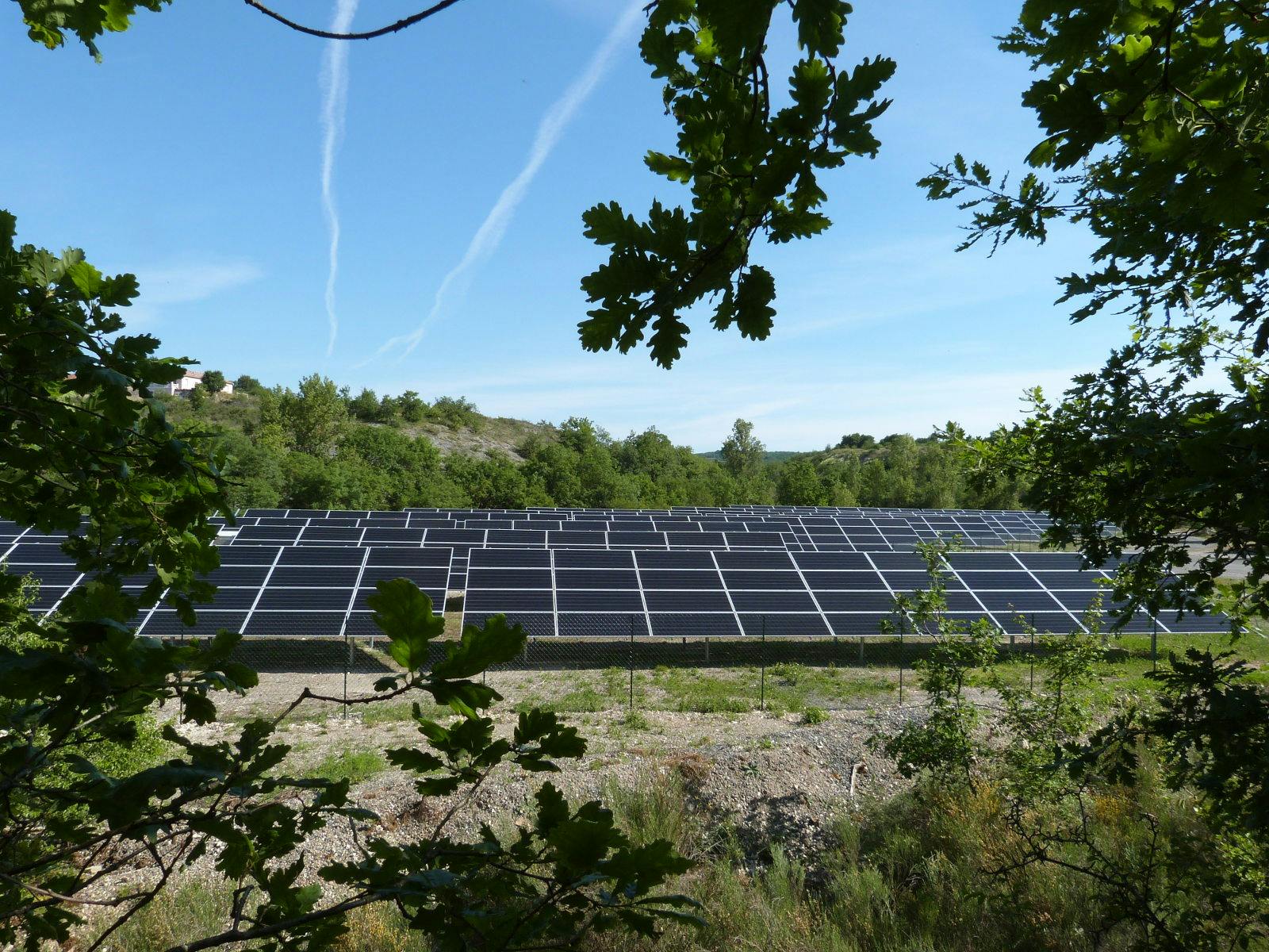 Parc de production d'électricité solaire sous un ciel bleu. Photo prise depuis un bosquet d'abre aux alentours puisque des feuilles et branches encadrent la photo.