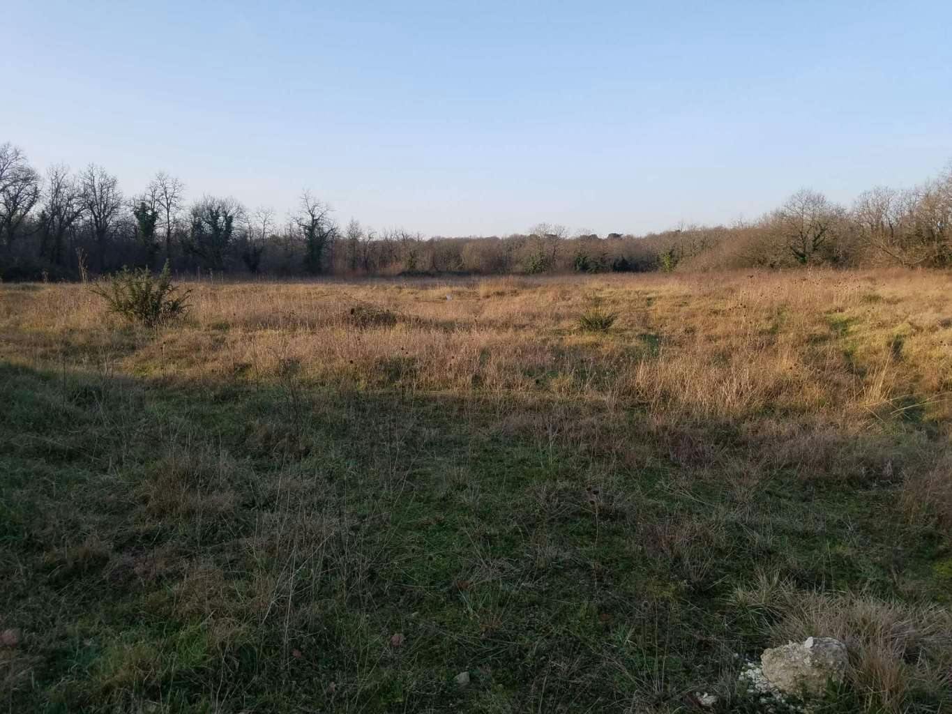 Parc solaire du Douhet, un site de la grappe solaire de Saintes Grandes Rives l'Agglo