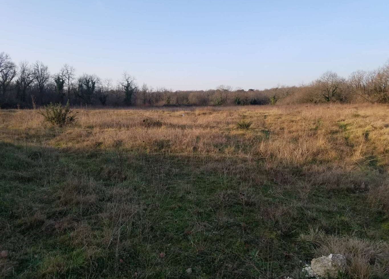 Parc solaire du Douhet, un site de la grappe solaire de l'agglomération de Saintes