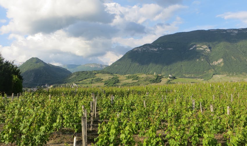 Communauté de communes Coeur de Savoie installe deux parcs solaires