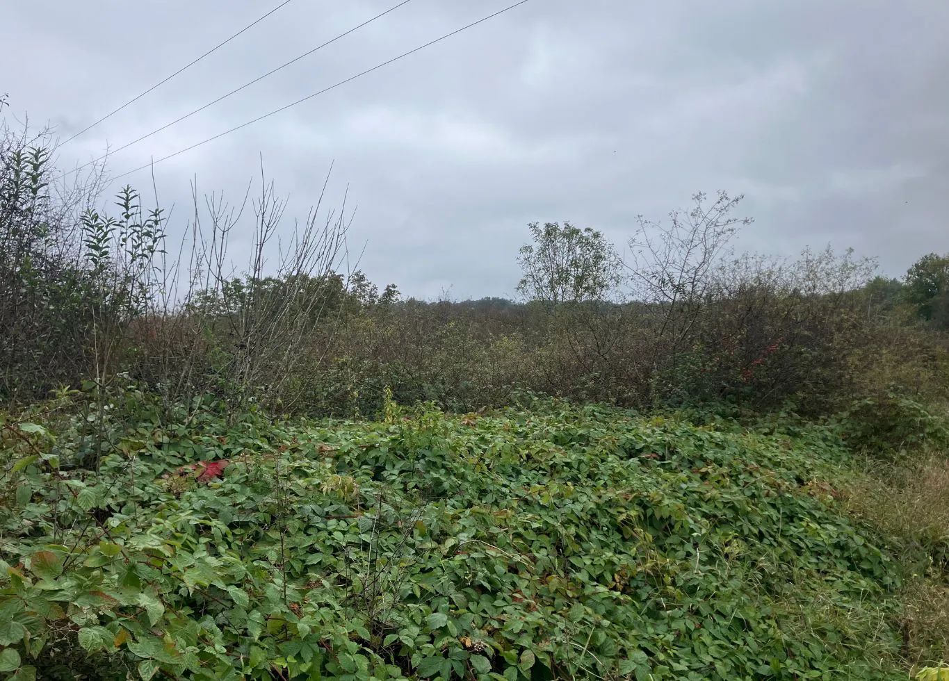 Photo du terrain de Vouzan