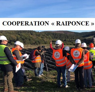 Lozère - Projet Raiponce