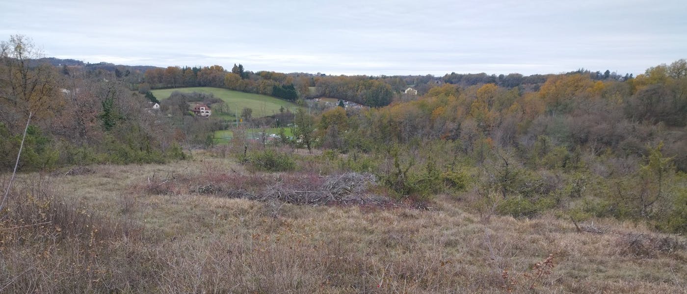 Pelouse sèche sur le terrain du futur parc solaire